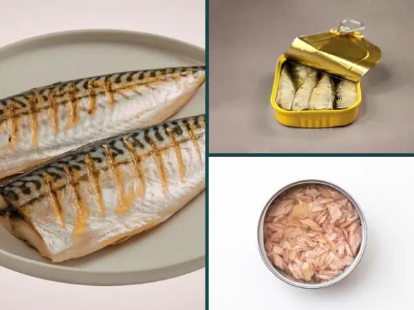 Close-up of cooked, unseasoned fish fillets, a can of plain tuna, and plain sardines, some of the healthiest human food that cats can eat