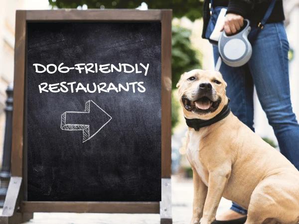 A dog standing next to a sign saying "dog friendly restaurants", representing pet friendly dining spots in Highlands Ranch
