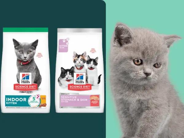 Examples of some of the best dry kitten food by Hills Science Diet