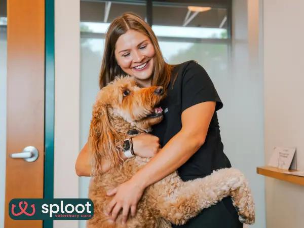 A photo of a happy dog at Sploot Veterinary Care, one of the best Fear Free dog veterinarians or vet clinics in Denver, Colorado