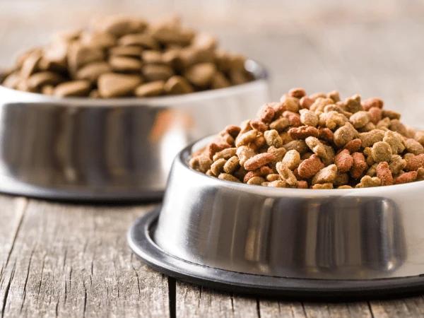 Close up of pet food to represent a sudden change in diet which can cause dog vomiting and cat vomiting