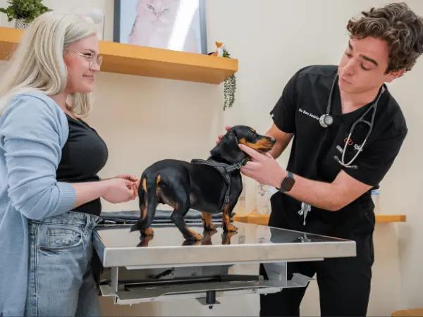A veterinarian speaking to a pet parent at Sploot Veterinary Care, a clinic that accepts emergency vet visits