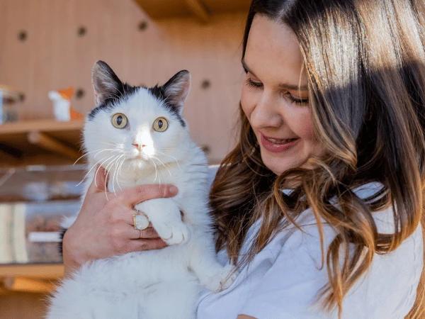 A cat that’s about to be revaccinated with FVRCP vaccine for cats at Sploot Veterinary Care in Denver, Colorado