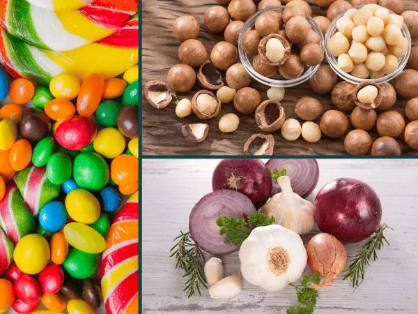 A collage of candies, macadamia nuts, garlic, and onions, representing foods poisonous to dogs