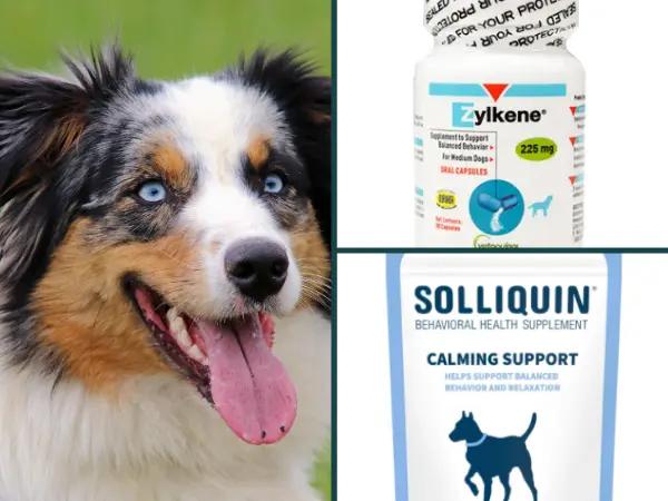 A collage showcasing over the counter (OTC) anxiety meds for dogs, including Zylkene and Solliquin Soft Chews