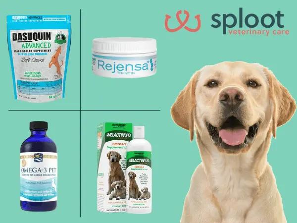 A few examples of hip & joint supplements and vitamins for dogs that are recommended by vets