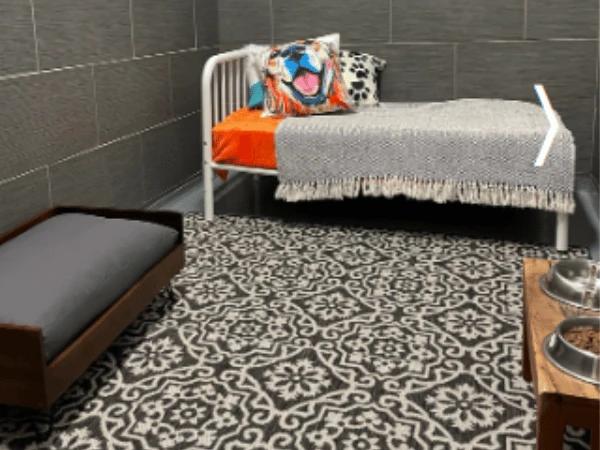 A room in Dog. Hotel | Daycare, a dog boarding establishment in Chicago
