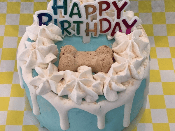 A sample dog cake from Le Barkery & Spa, a pet supply store in Chicago and dog bakery