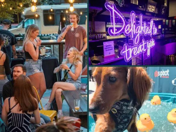 Photos of dog-friendly events hosted by Sploot Vets, which are coming soon to Colorado Springs