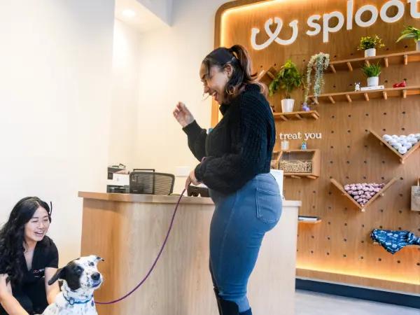 A pet parent and dog greeted by the friendly receptionist of Sploot Veterinary Care, one of the best dog veterinarians in Chicago, Illinois