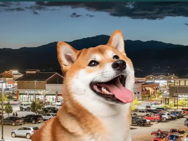 A photo of a dog in front of The Promenade Shops at Briargate, representing dog-friendly stores in Colorado Springs