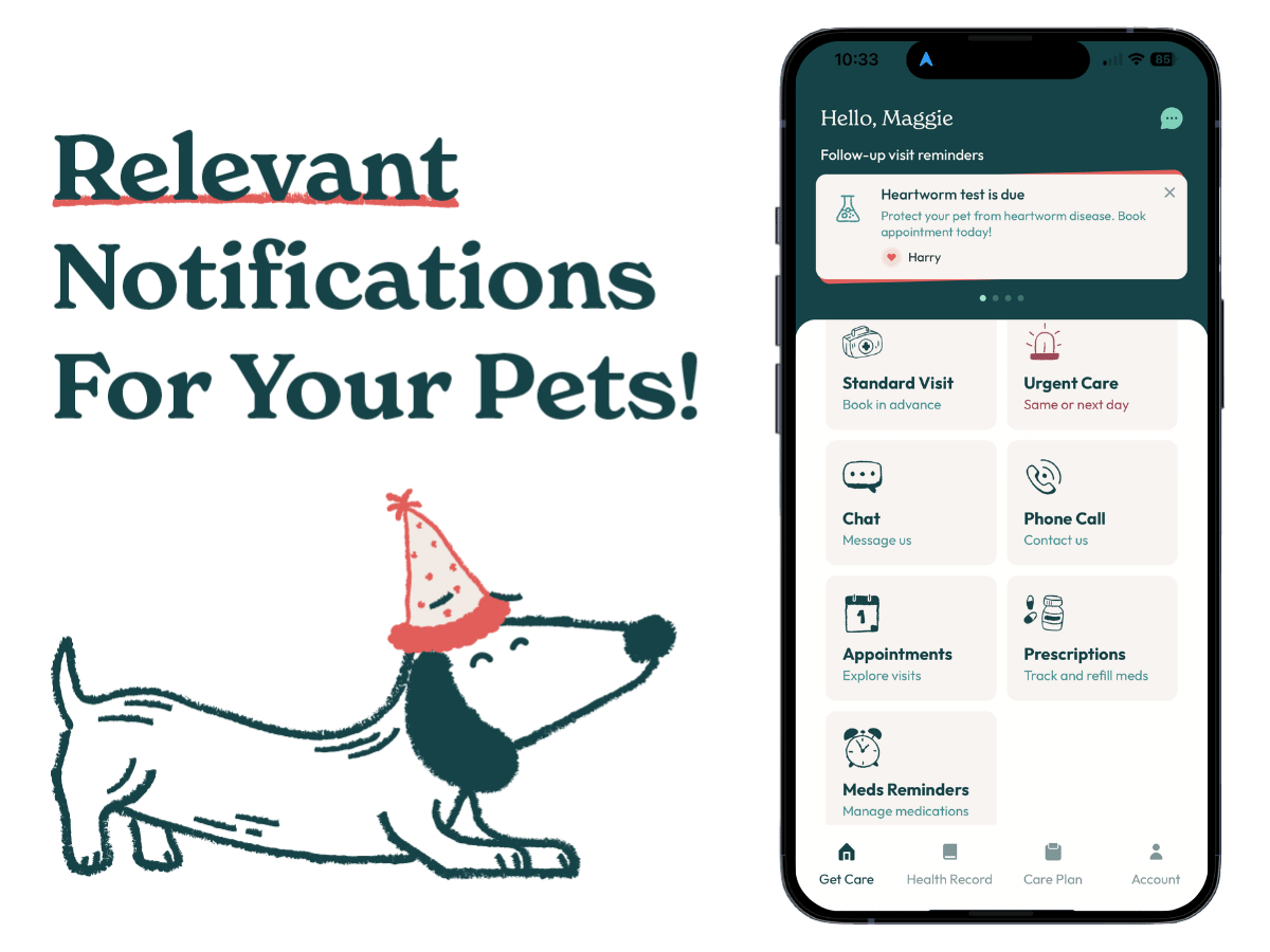 An image of the pet care notifications on the Sploot Vets App, a veterinary app that makes pet parenting easy and seamless