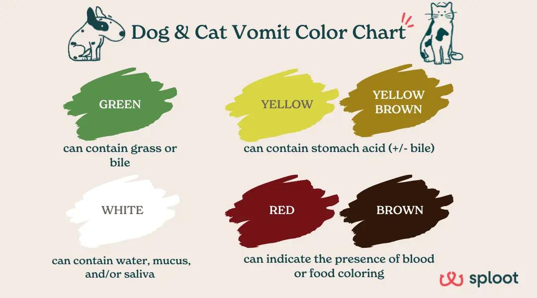 An infographic dog or cat vomit color chart showing the different colors of vomit and what they can mean