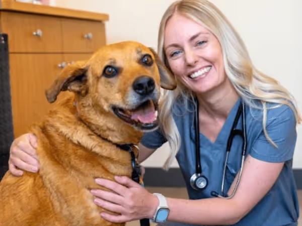 A dog happily visiting Sploot Veterinary Care, a vet clinic with locations in Denver and Chicago