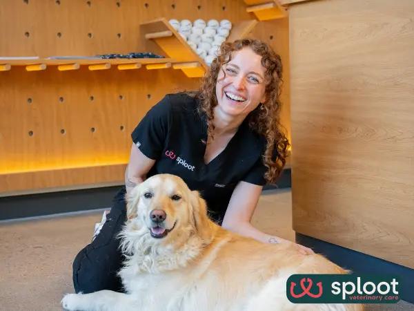 A photo of Sploot’s veterinary clinic’s reception area, one of the best dog veterinarians or vet clinics in Denver, Colorado