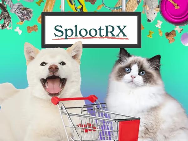 A photo representing the products in SplootRX, an online pet store and online pet pharmacy with same-day delivery