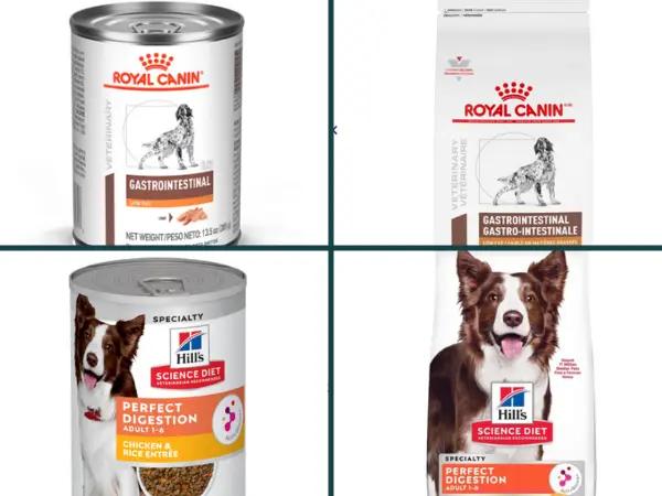 A simple infographic showing examples of some of the best dog food for sensitive stomachs Royal Canin and Hill’s Science Diet