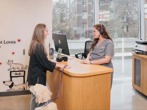 A pet parent bringing their dog to Sploot Veterinary Care, one of the best vet clinics in Denver; the appointment is to get all the required dog vaccines for Denver, Colorado