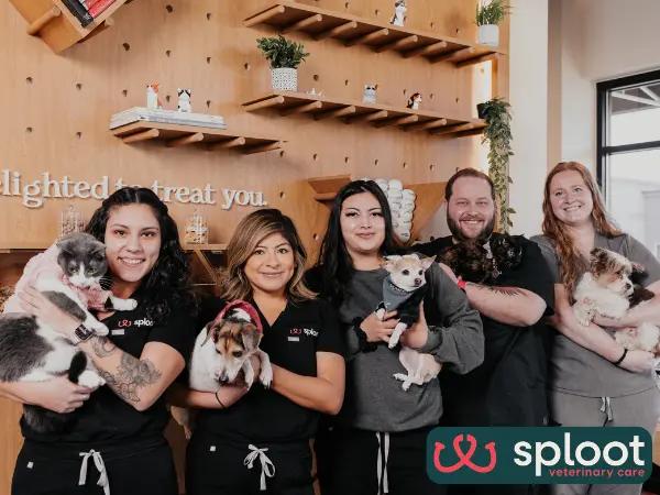 A photo of the medical team of Sploot Veterinary care, a vet clinic in Denver, Colorado Springs, and Chicago, offering transparent information on the cost to spay or neuter a dog