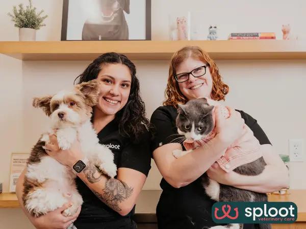 A photo of two friendly veterinary professionals at Sploot Veterinary Care, one of the best cat veterinarians in Salt Lake City, Utah