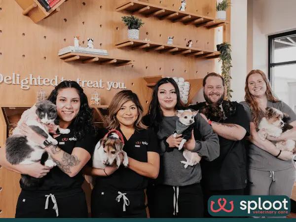 A photo of Sploot Veterinary Care, considered by many pet parents as the best vet clinic in Denver for their pets’ needs
