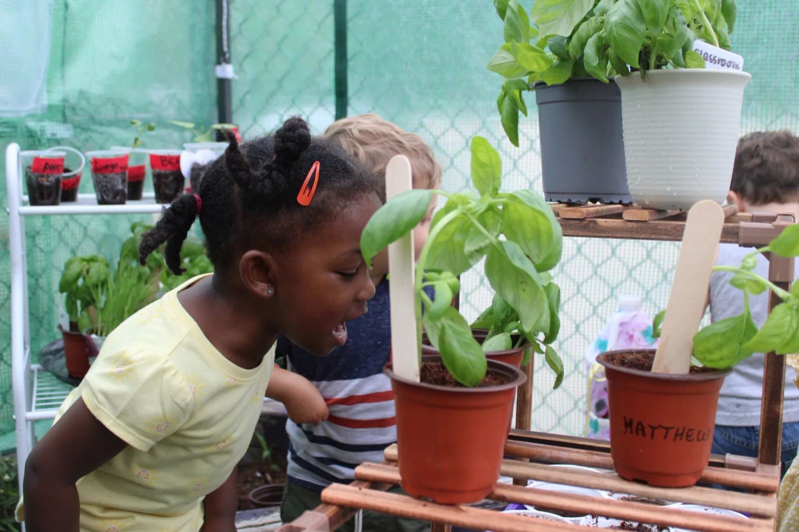 A SELA child leans in to smell a potted basil plant in the school greenhouse.