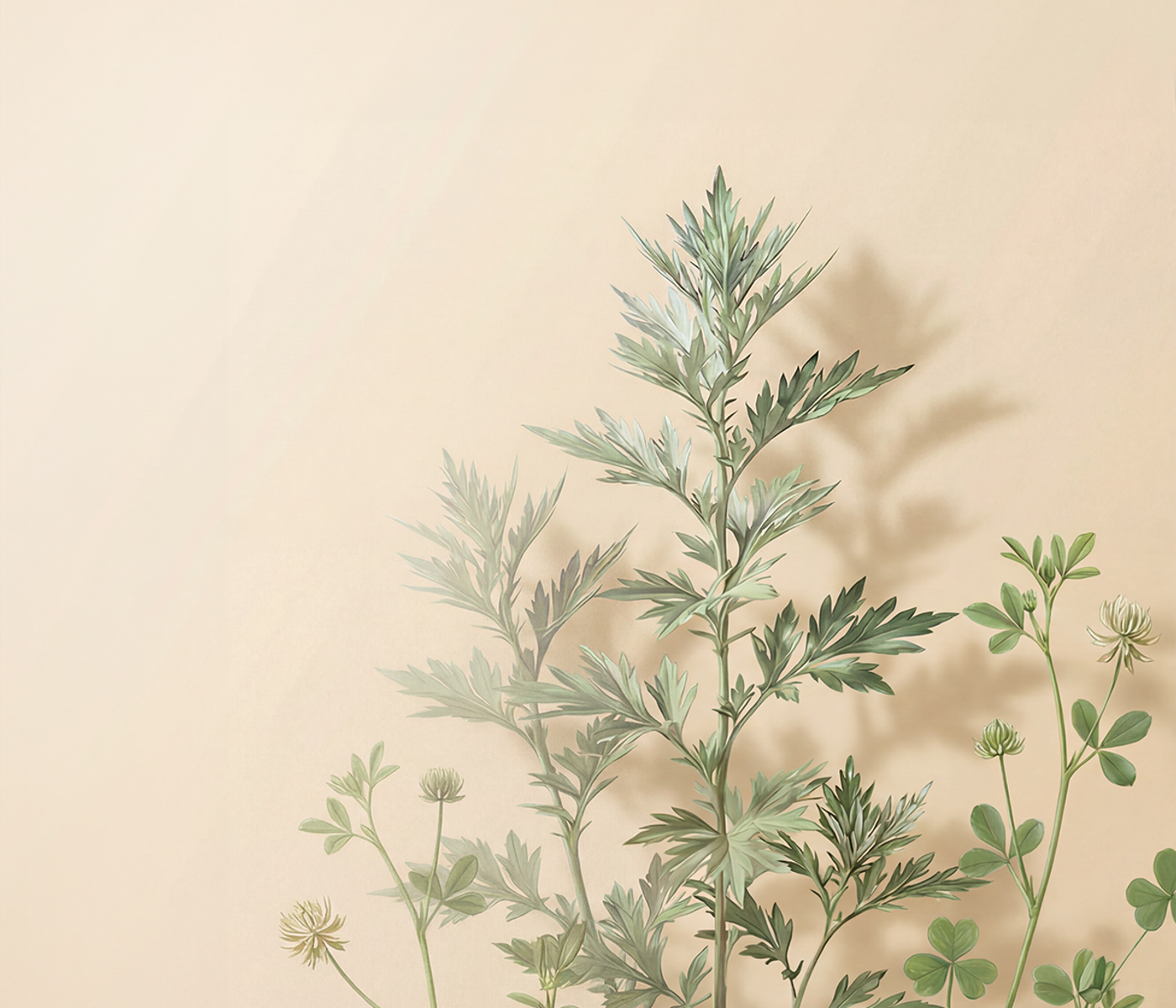 艾草意象