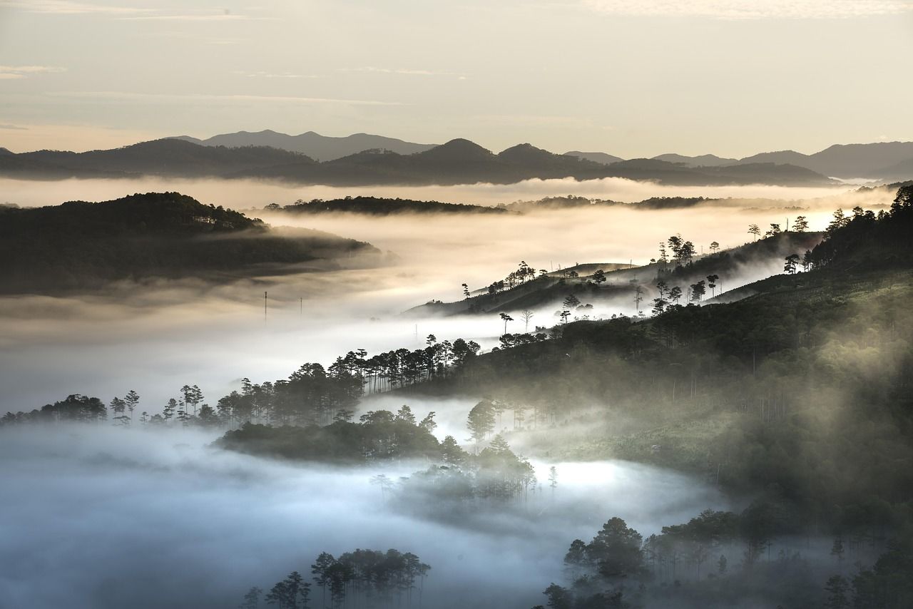 Forested hills in Vietnam covered in morning mist