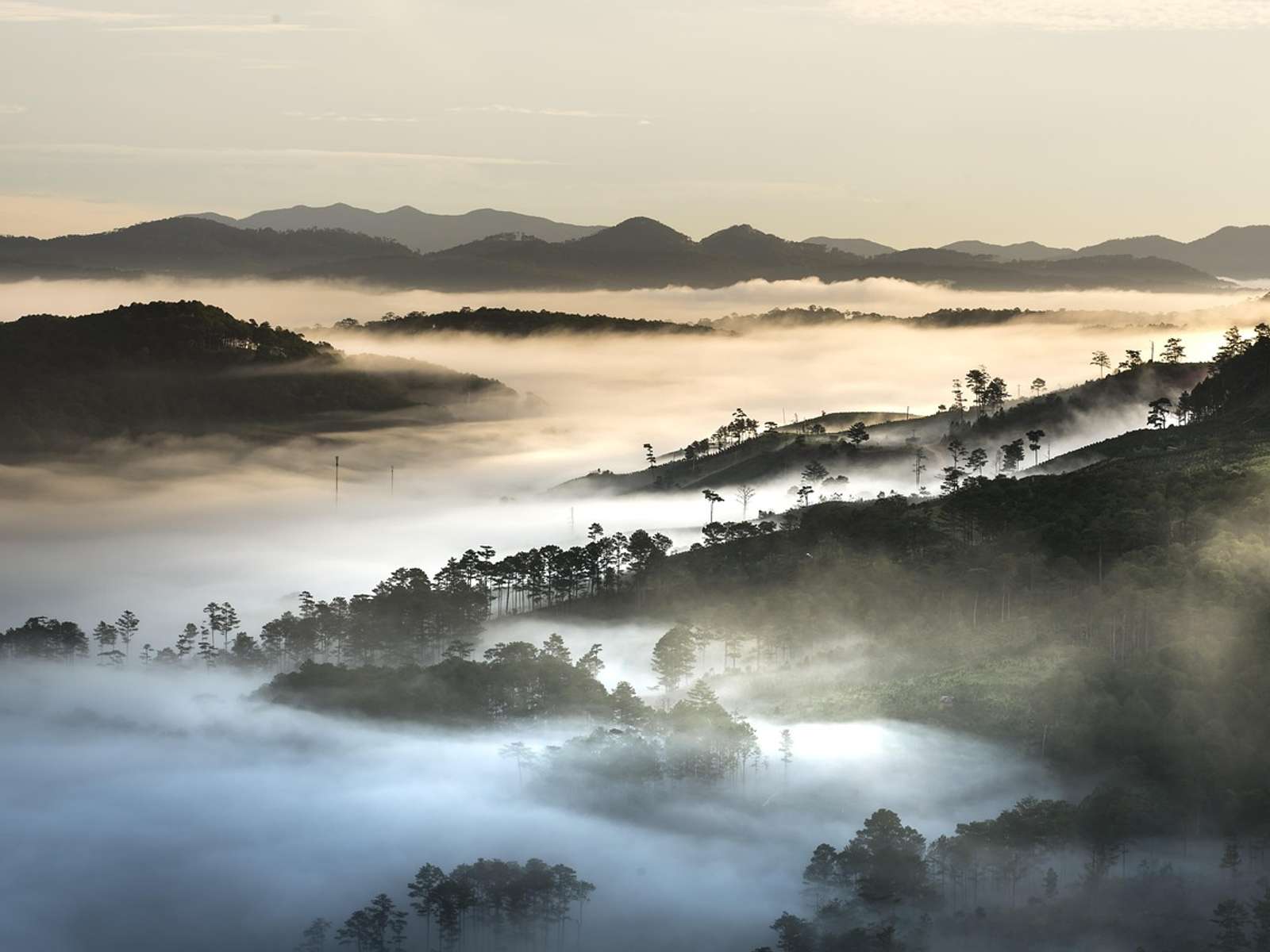 Forested hills in Vietnam covered in morning mist