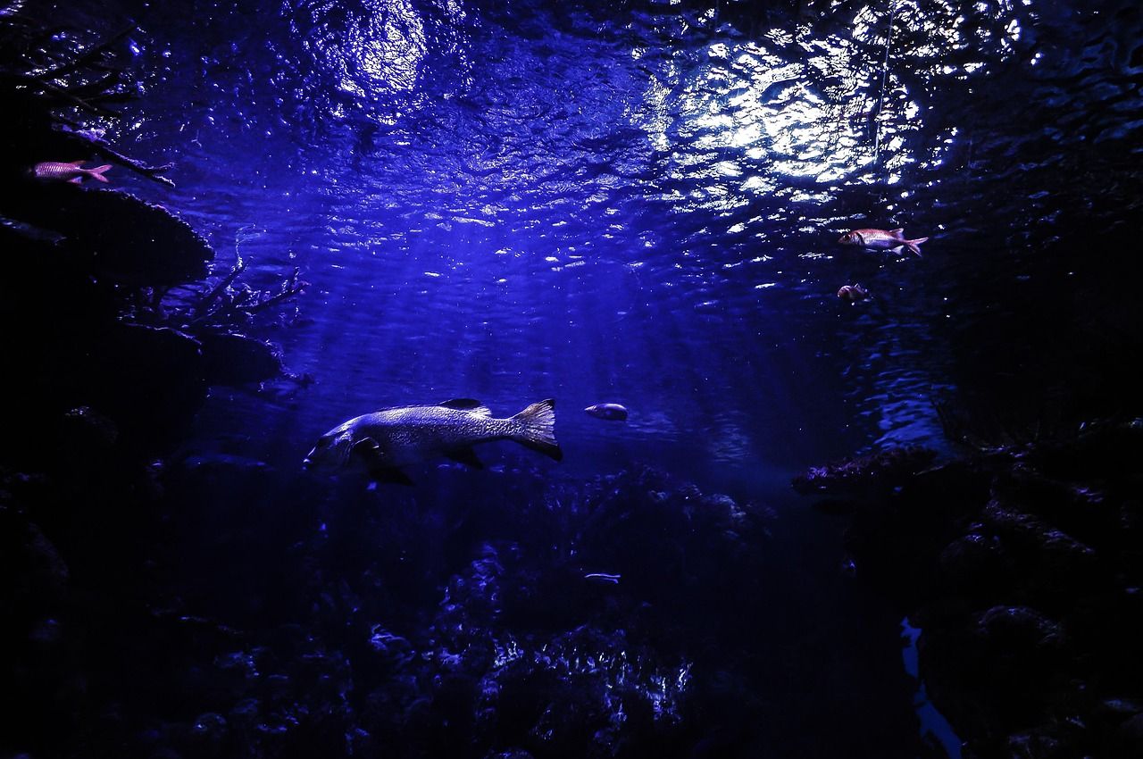 Deep blue ocean water