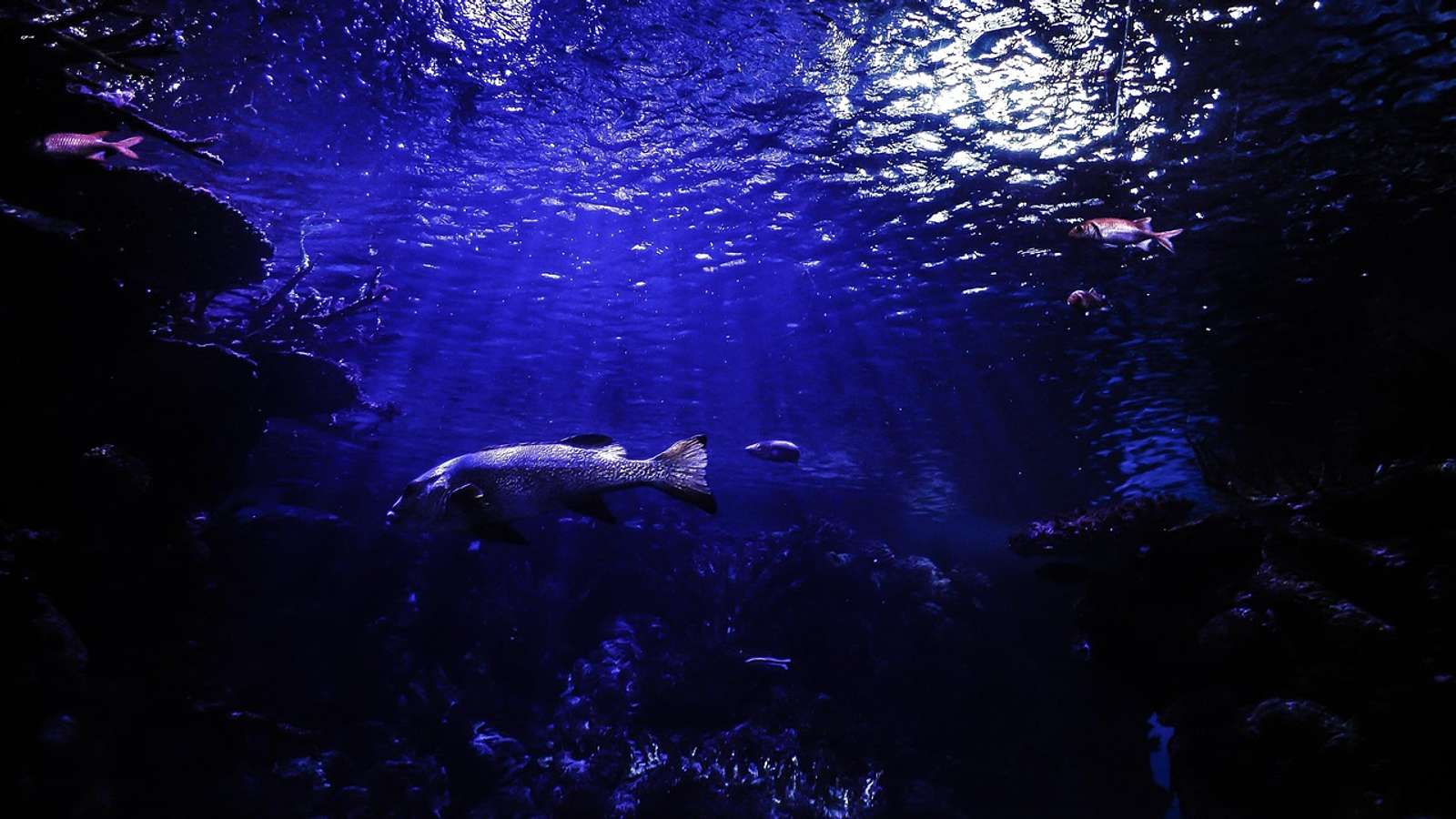 Deep blue ocean water