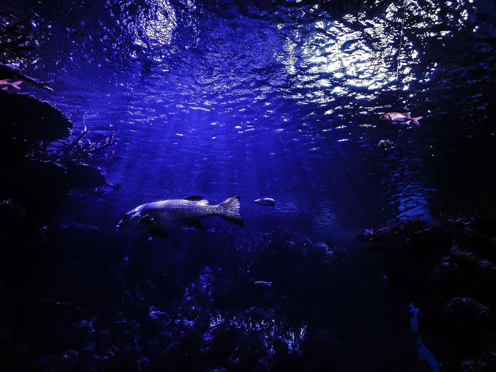 Deep blue ocean water