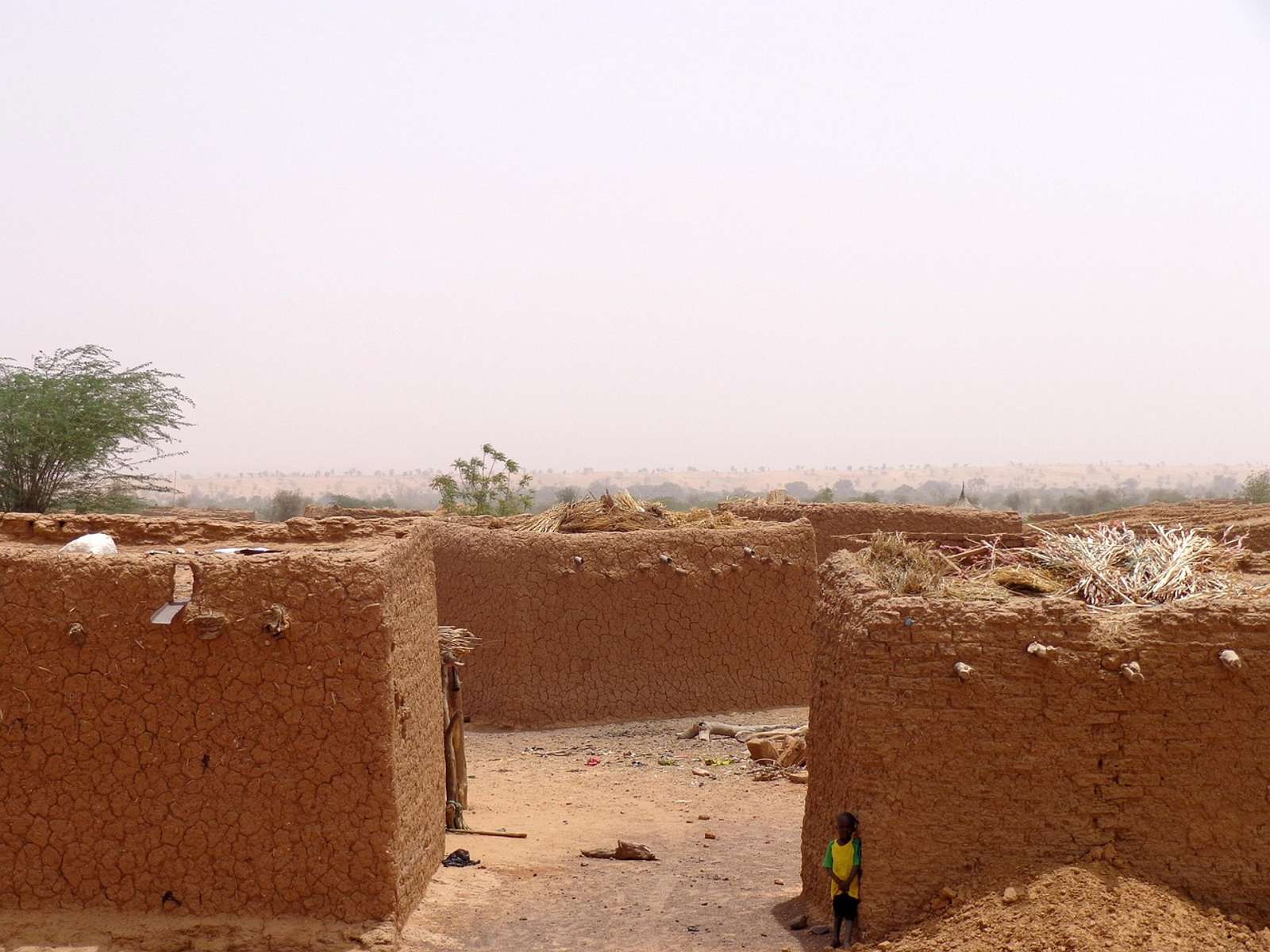 Mud-brick walls of a village in a dry, hazy Sahel landscape