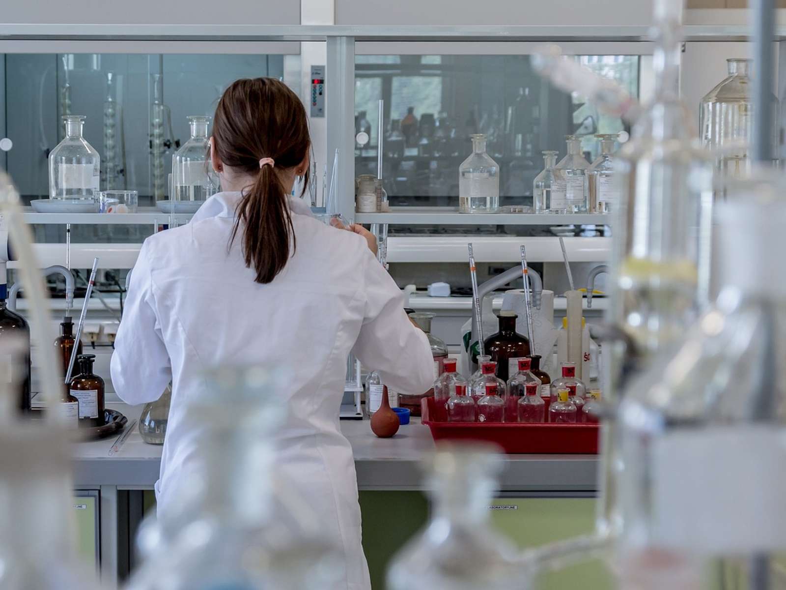 Laboratory test tubes in a diagnostics lab