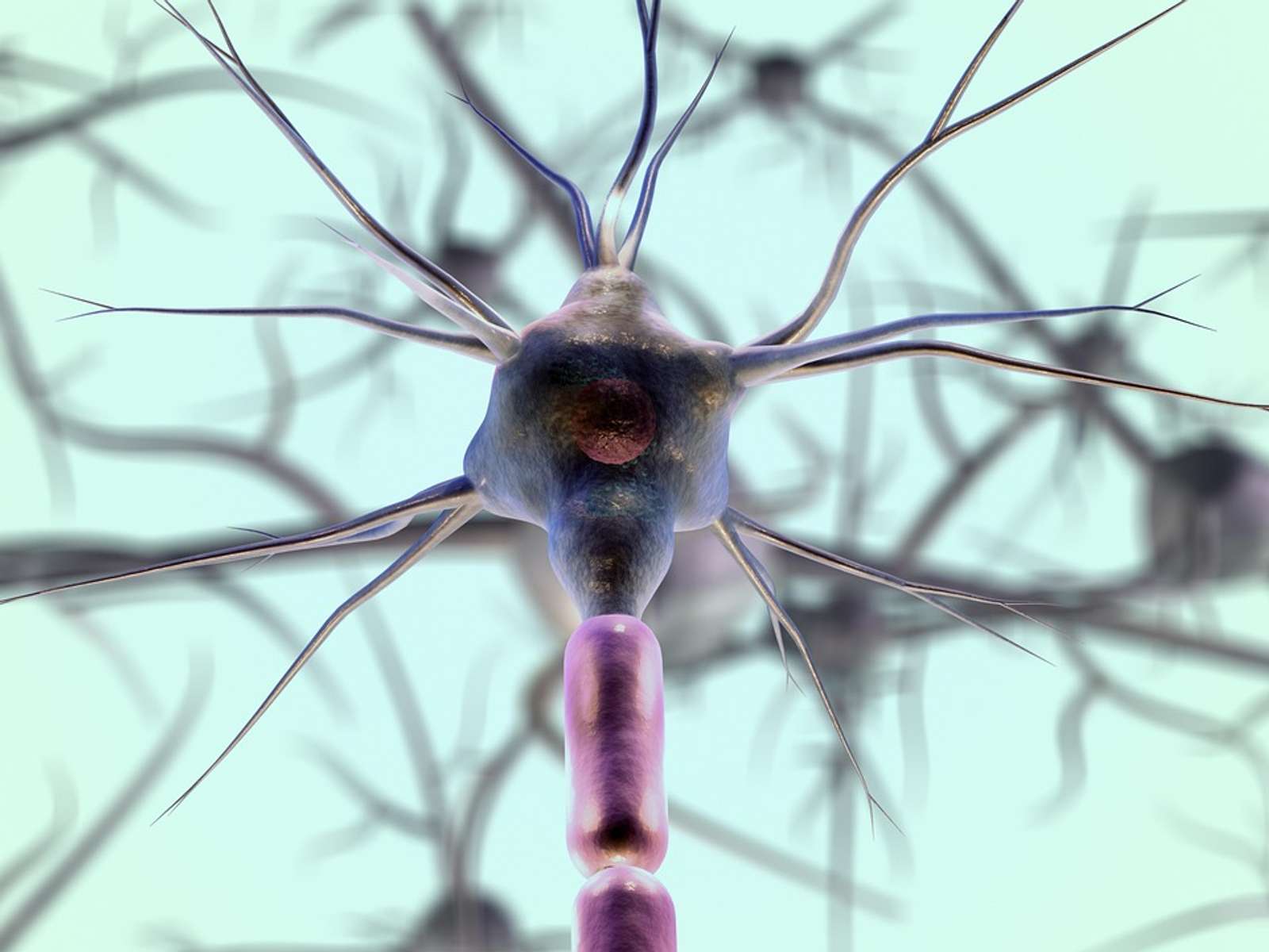 Close-up microscopic image of neuron cells