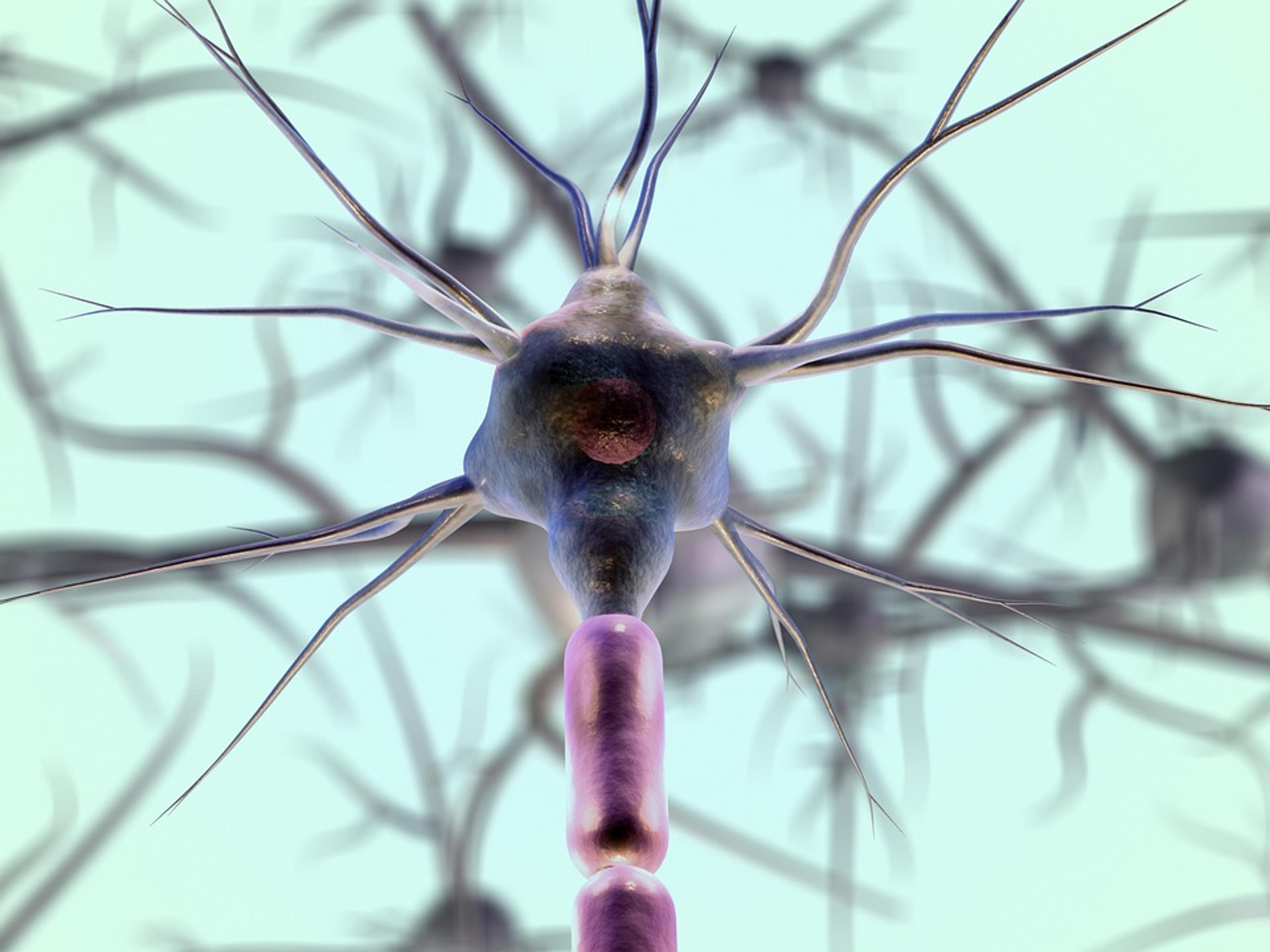 Close-up microscopic image of neuron cells