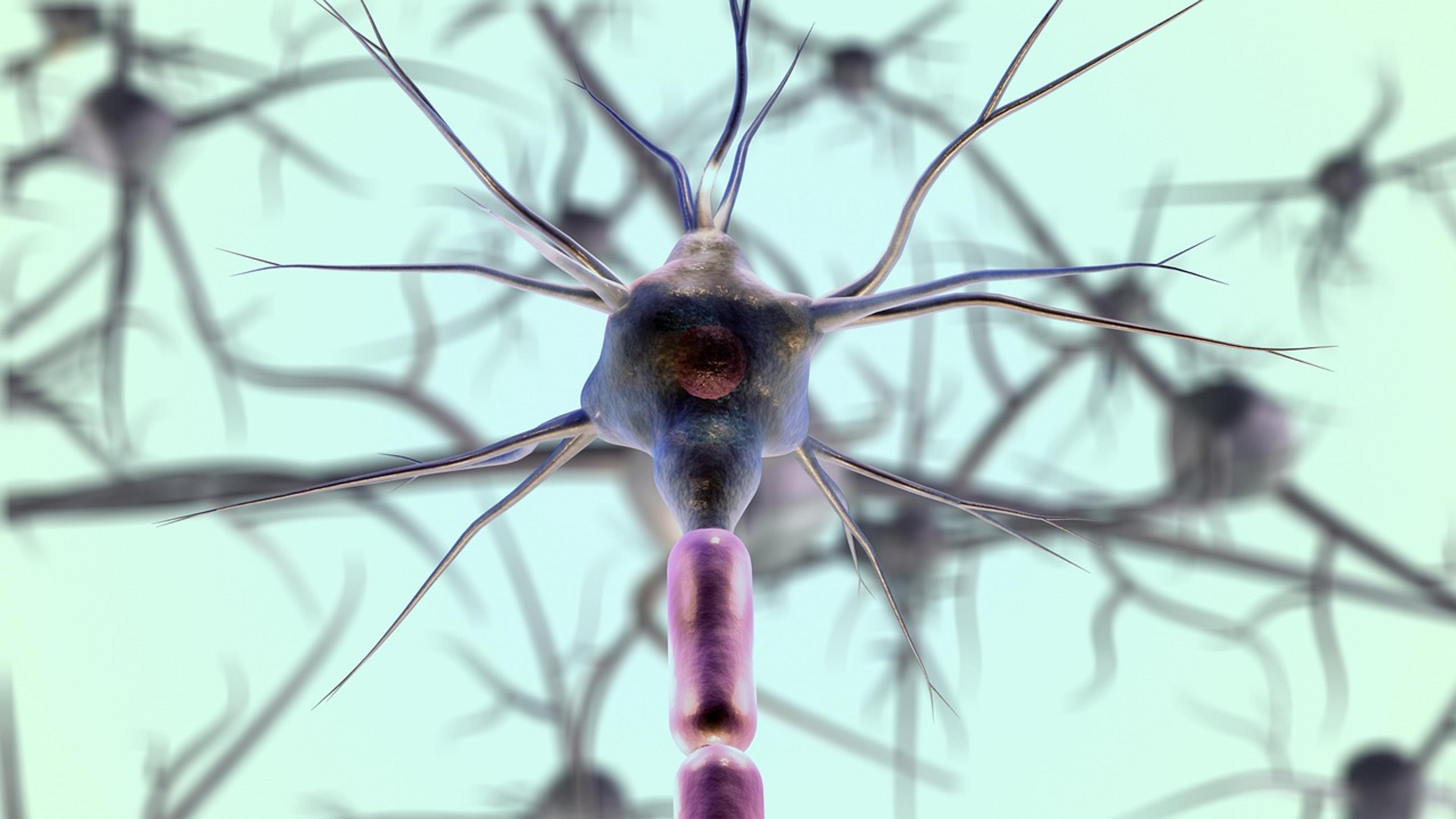 Close-up microscopic image of neuron cells