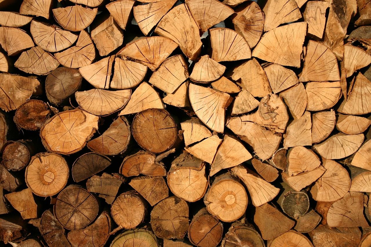 Stacked timber logs