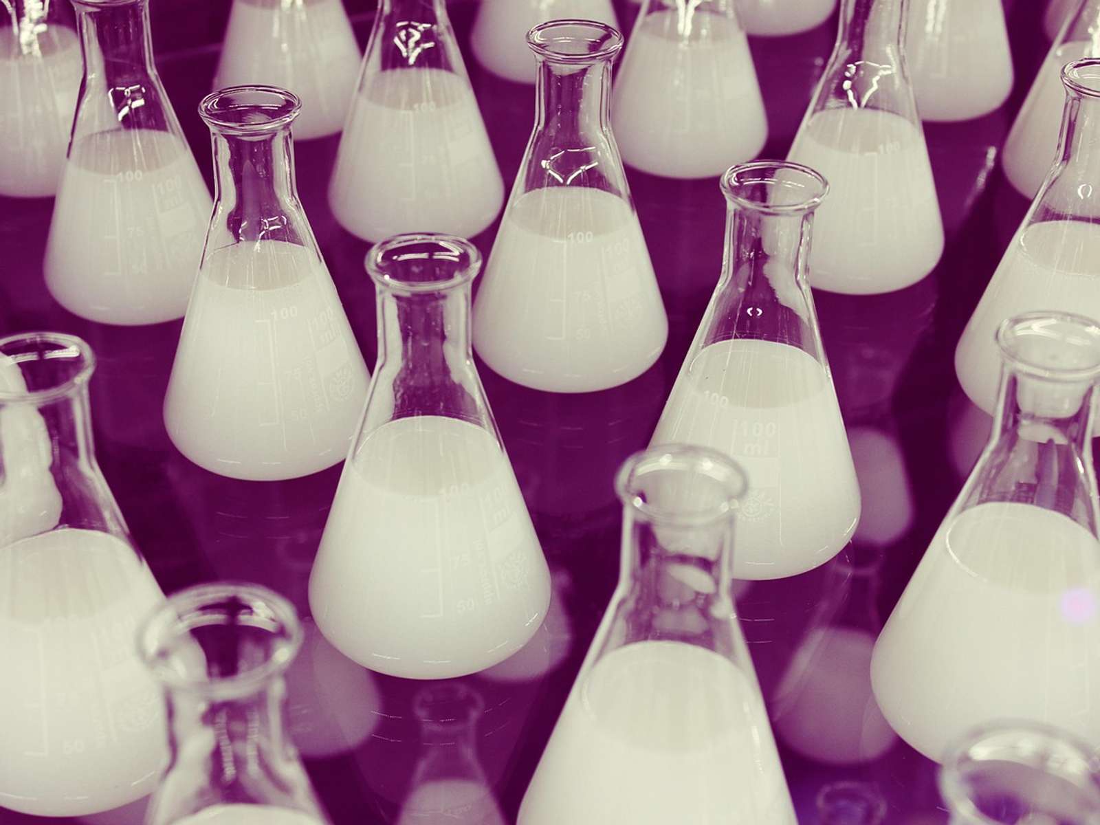 Rows of glass Erlenmeyer flasks filled with a white liquid