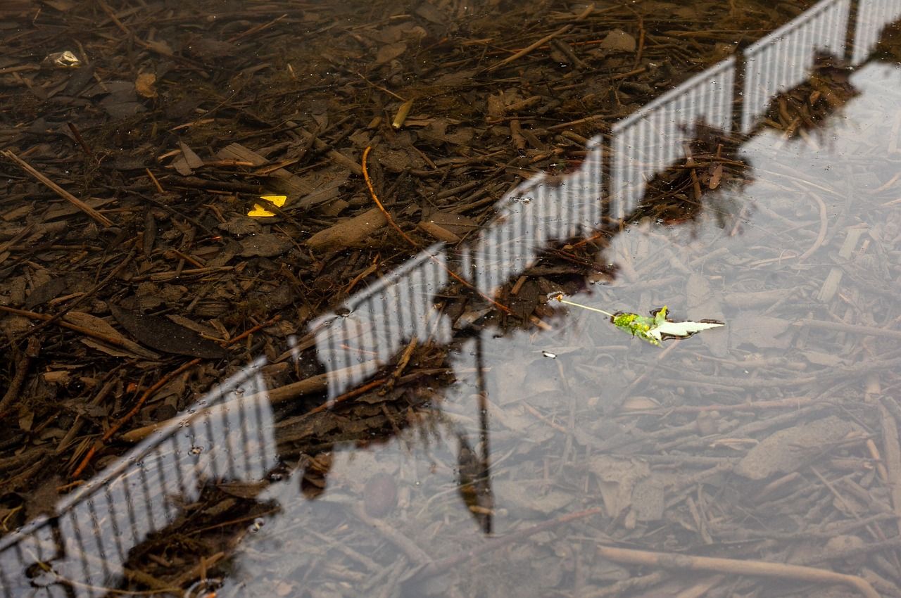 Plastic waste floating in a river