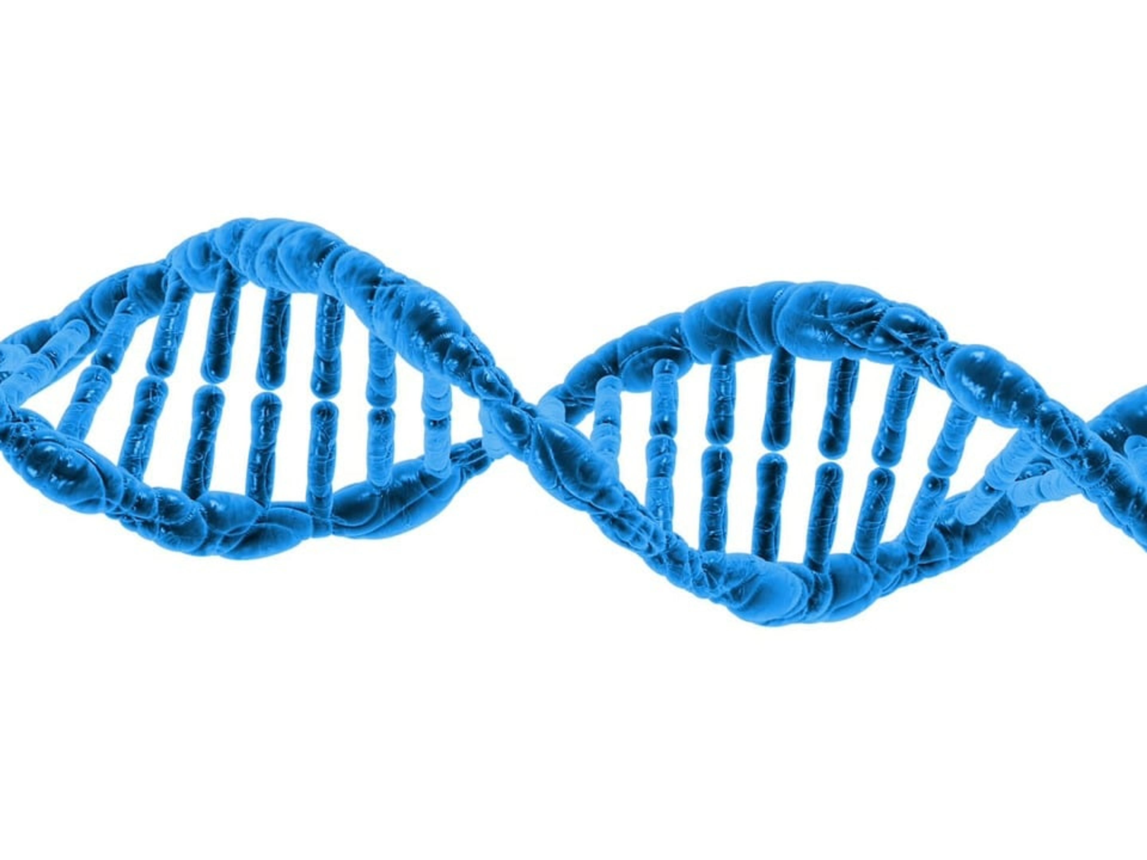 An illustration of a blue DNA double helix on a white background