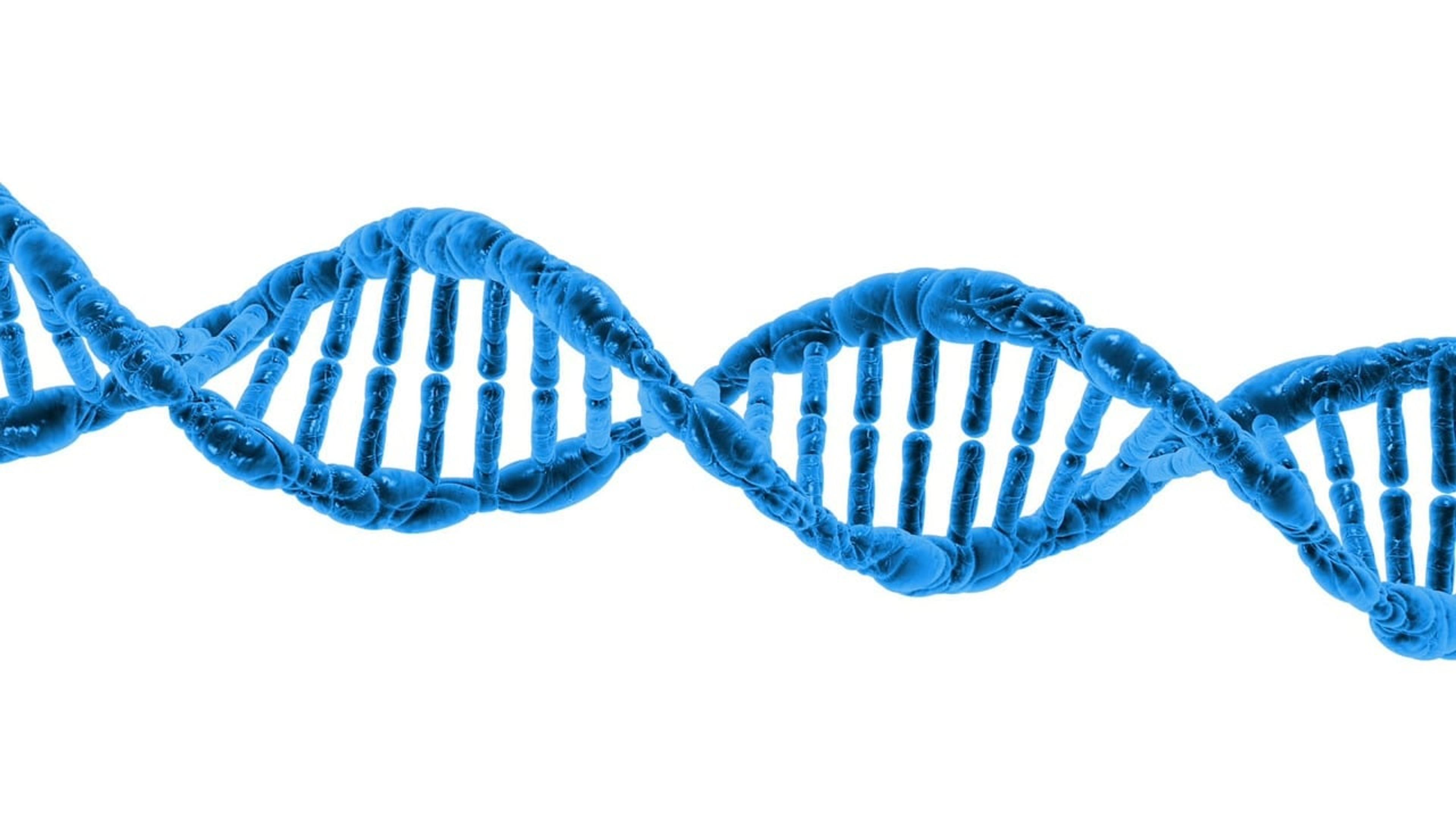 An illustration of a blue DNA double helix on a white background