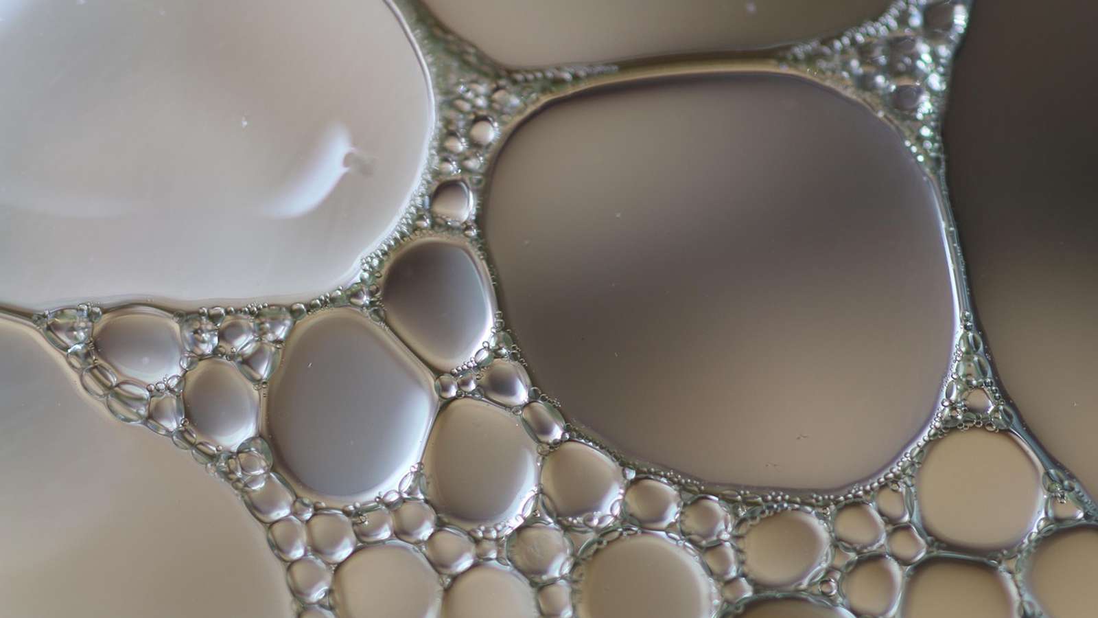 Close-up of oil droplets of many sizes floating in water