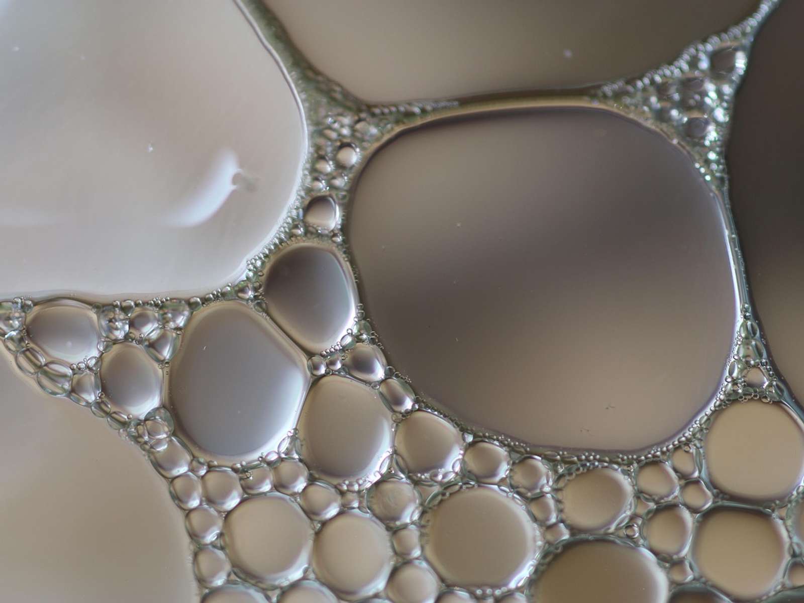 Close-up of oil droplets of many sizes floating in water