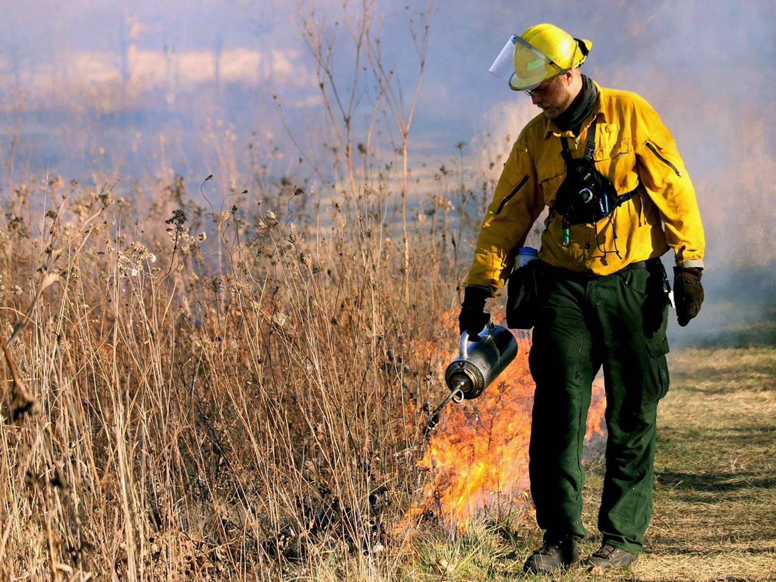 A wildland firefighter in yellow protective gear walking through dry grass near a fire line