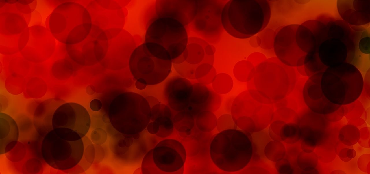 Magnified view of blood cells in plasma