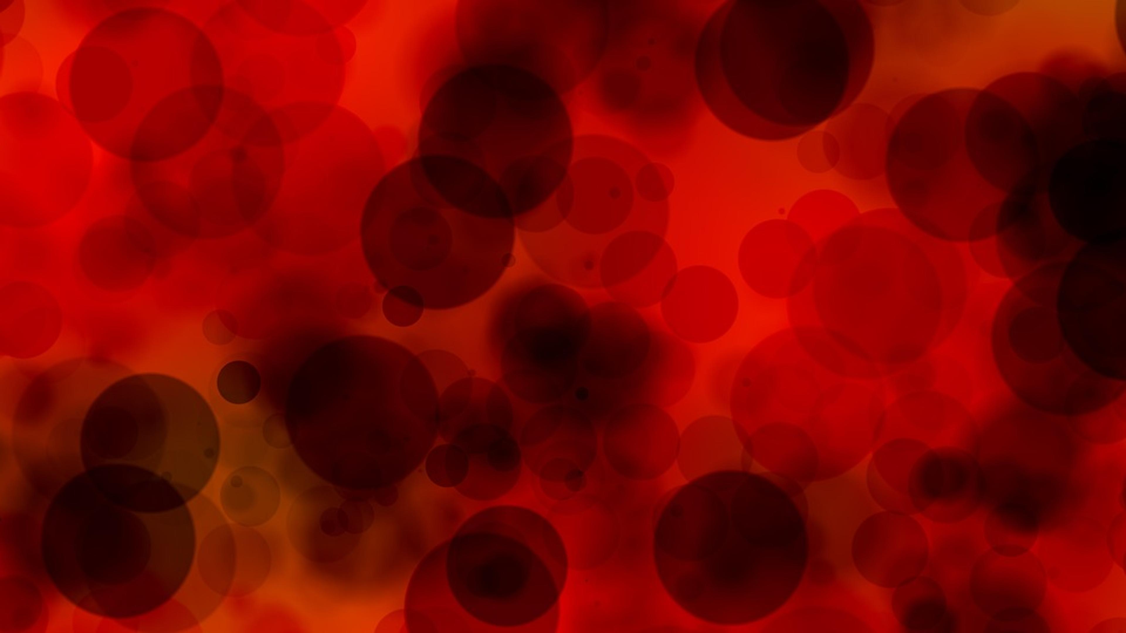 Magnified view of blood cells in plasma