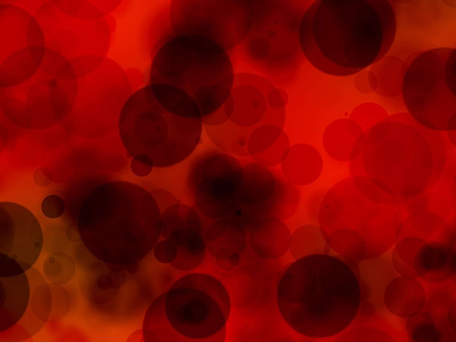 Magnified view of blood cells in plasma