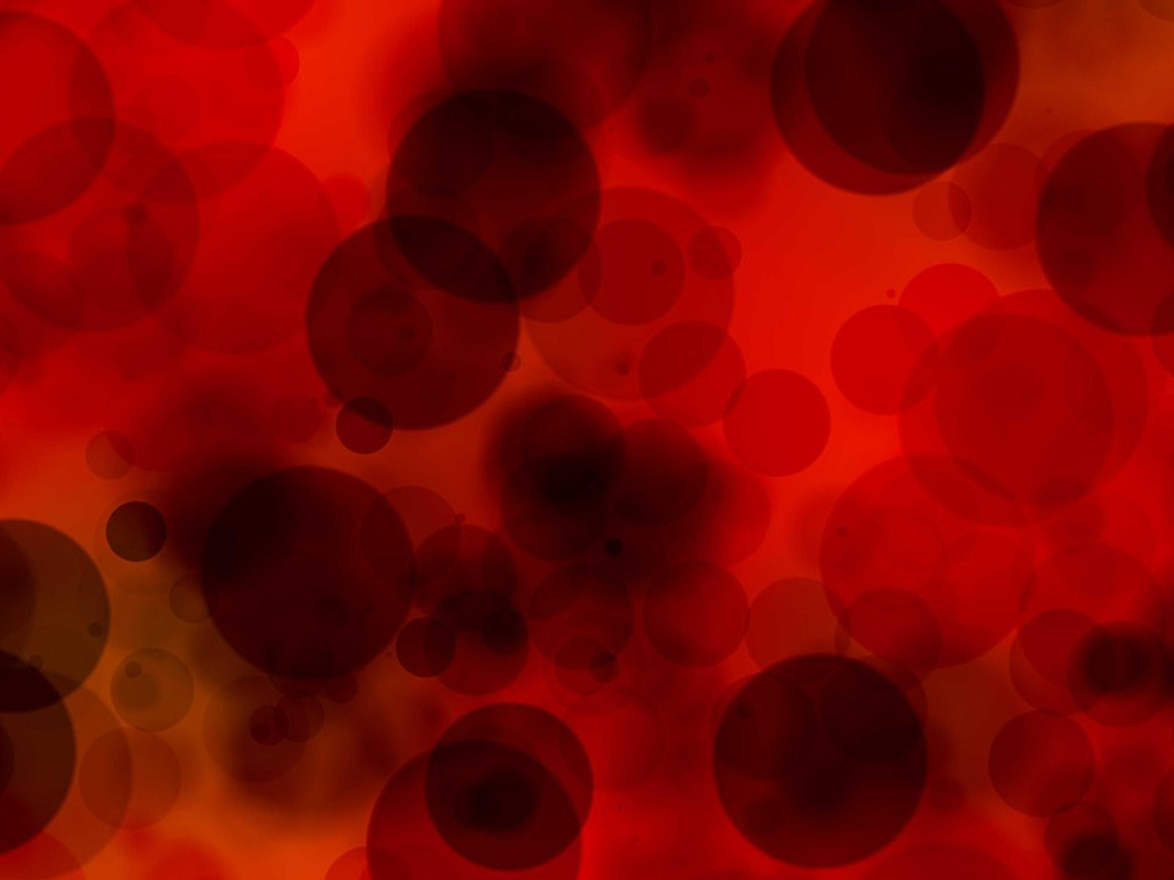 Magnified view of blood cells in plasma