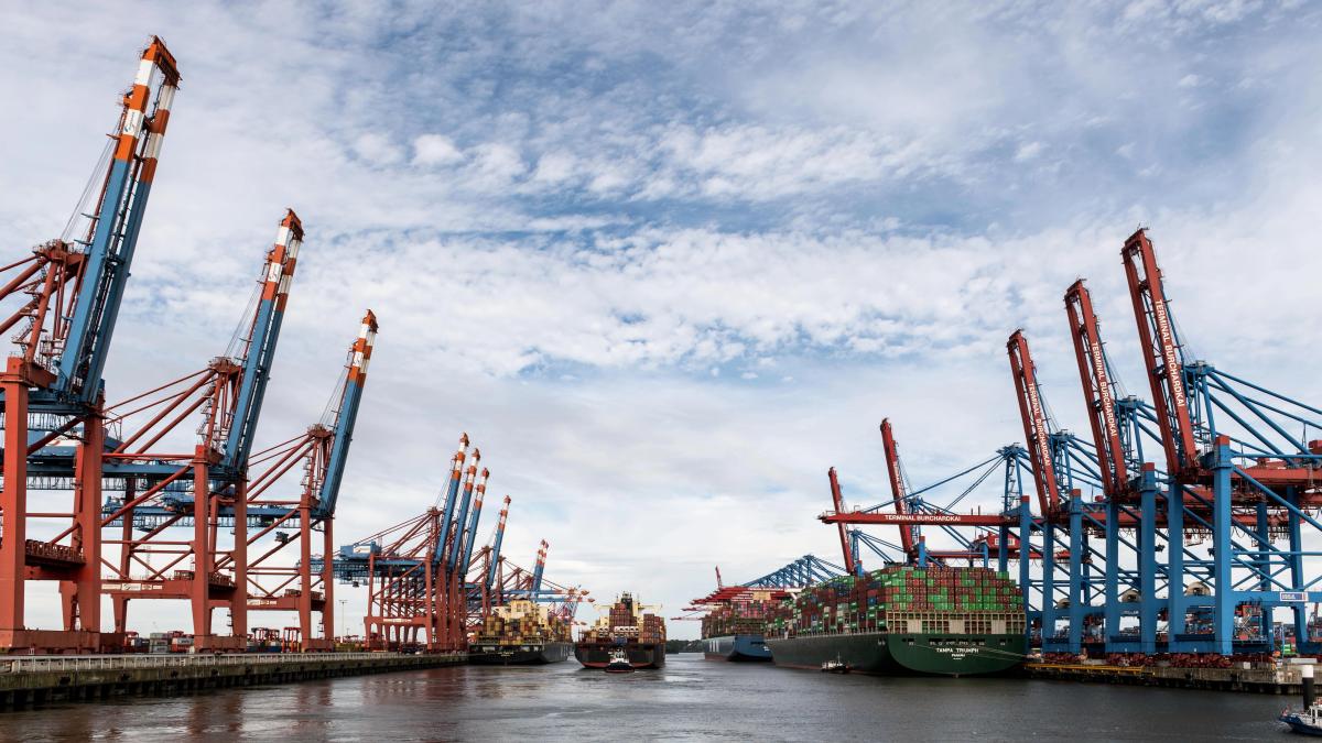 Wide view of container ships and cargo cranes at a busy port terminal under a cloudy sky